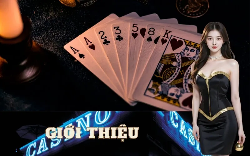 Giới Thiệu B52